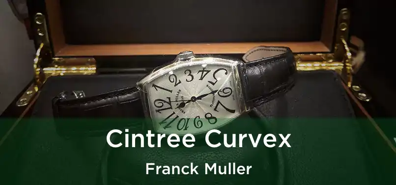  Cintree Curvex Franck Muller