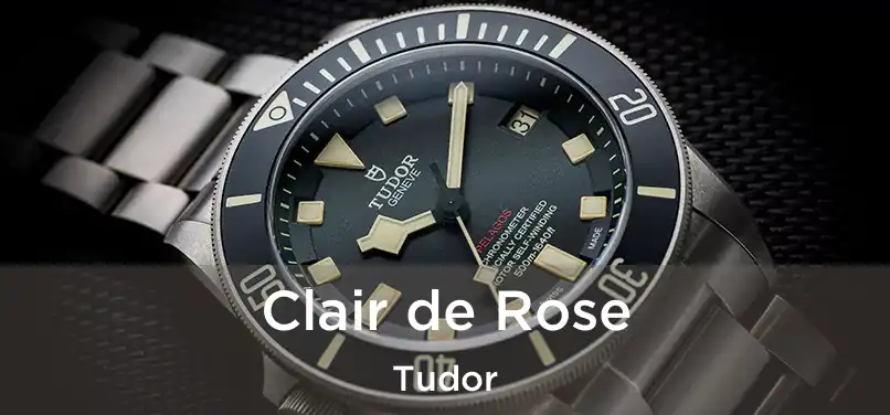  Clair de Rose Tudor